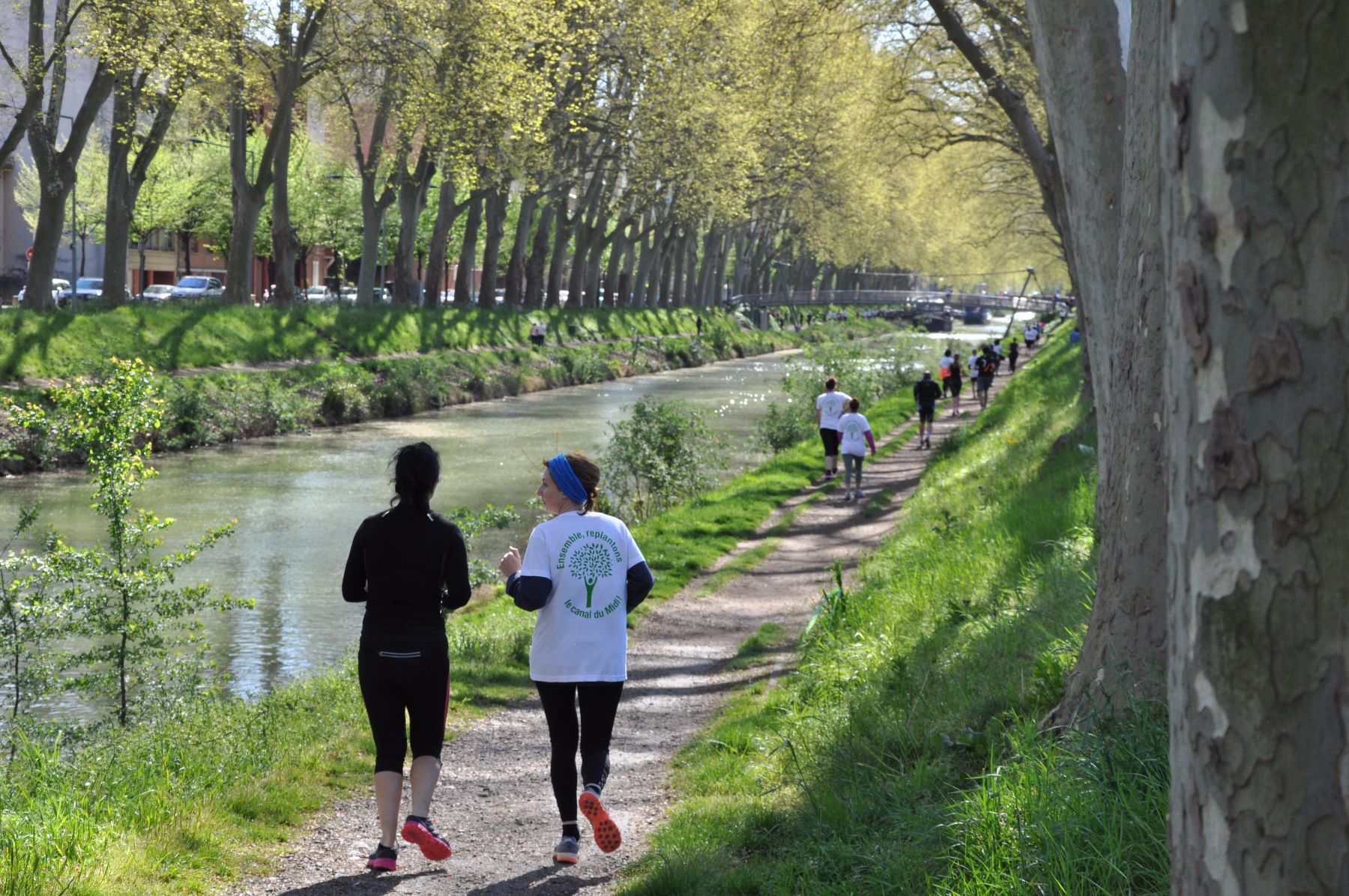 photo course canal (C) N. Maurel